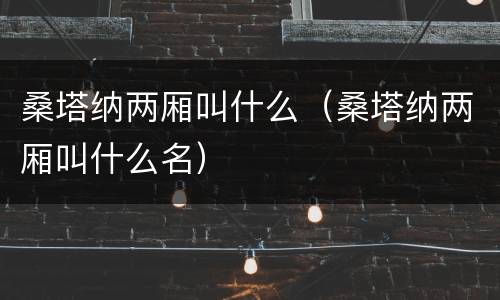桑塔纳两厢叫什么（桑塔纳两厢叫什么名）