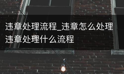 违章处理流程_违章怎么处理 违章处理什么流程