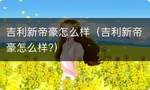 吉利新帝豪怎么样（吉利新帝豪怎么样?）