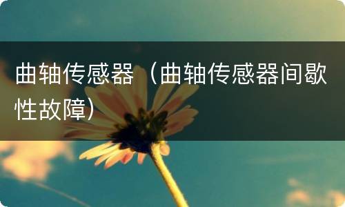 曲轴传感器（曲轴传感器间歇性故障）