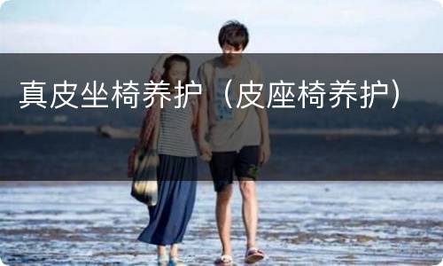 真皮坐椅养护（皮座椅养护）