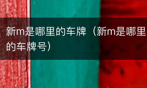 新m是哪里的车牌（新m是哪里的车牌号）