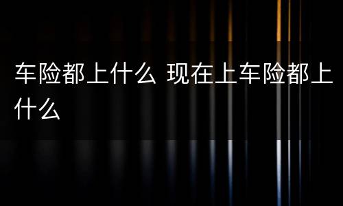 车险都上什么 现在上车险都上什么