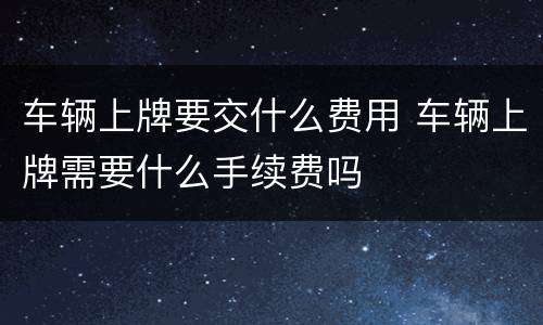车辆上牌要交什么费用 车辆上牌需要什么手续费吗