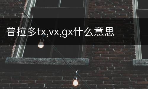 普拉多tx,vx,gx什么意思