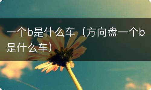 一个b是什么车（方向盘一个b是什么车）
