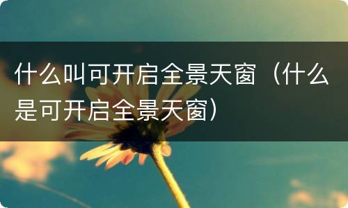 什么叫可开启全景天窗（什么是可开启全景天窗）