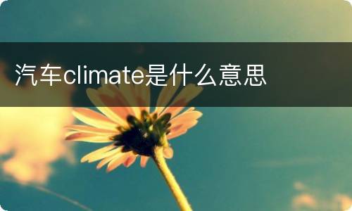 汽车climate是什么意思
