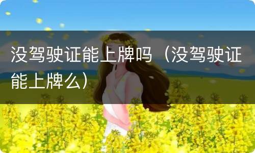 没驾驶证能上牌吗（没驾驶证能上牌么）