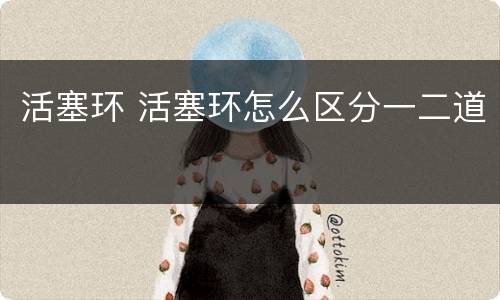 活塞环 活塞环怎么区分一二道