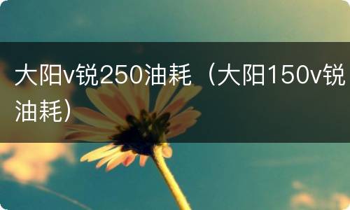 大阳v锐250油耗（大阳150v锐油耗）