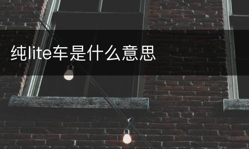 纯lite车是什么意思