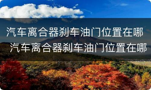 汽车离合器刹车油门位置在哪 汽车离合器刹车油门位置在哪儿