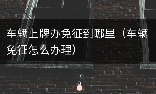 车辆上牌办免征到哪里（车辆免征怎么办理）