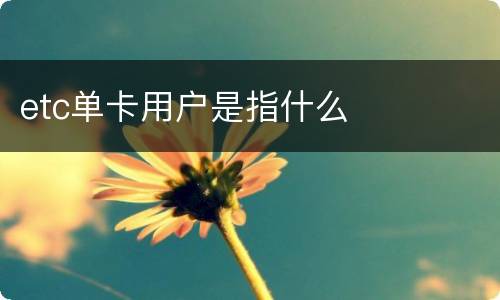 etc单卡用户是指什么