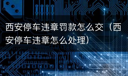 西安停车违章罚款怎么交（西安停车违章怎么处理）