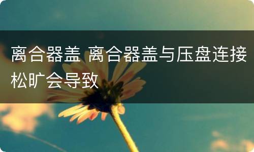 离合器盖 离合器盖与压盘连接松旷会导致
