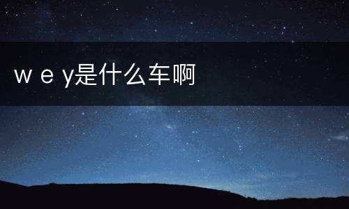 w e y是什么车啊