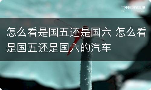 怎么看是国五还是国六 怎么看是国五还是国六的汽车
