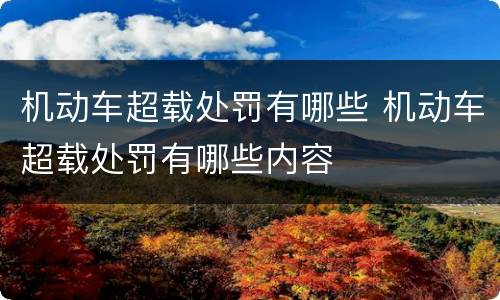 机动车超载处罚有哪些 机动车超载处罚有哪些内容