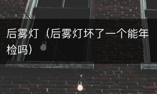 后雾灯（后雾灯坏了一个能年检吗）