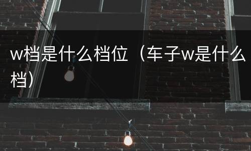 w档是什么档位（车子w是什么档）