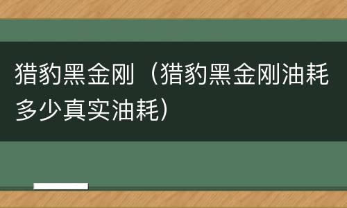 猎豹黑金刚（猎豹黑金刚油耗多少真实油耗）