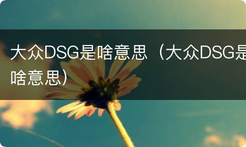 大众DSG是啥意思（大众DSG是啥意思）