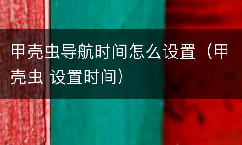 甲壳虫导航时间怎么设置（甲壳虫 设置时间）