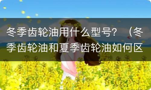 冬季齿轮油用什么型号？（冬季齿轮油和夏季齿轮油如何区分）