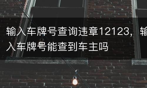 输入车牌号查询违章12123，输入车牌号能查到车主吗