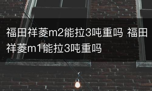 福田祥菱m2能拉3吨重吗 福田祥菱m1能拉3吨重吗