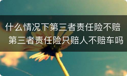 什么情况下第三者责任险不赔 第三者责任险只赔人不赔车吗