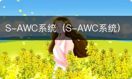 S-AWC系统（S-AWC系统）