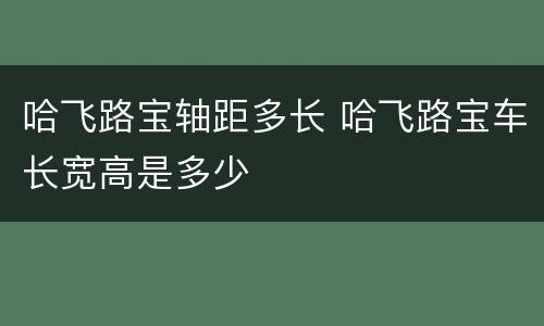 哈飞路宝轴距多长 哈飞路宝车长宽高是多少
