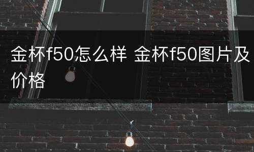 金杯f50怎么样 金杯f50图片及价格