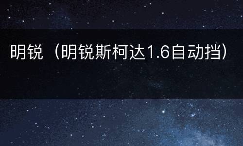 明锐（明锐斯柯达1.6自动挡）