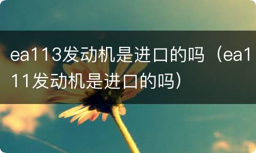 ea113发动机是进口的吗（ea111发动机是进口的吗）
