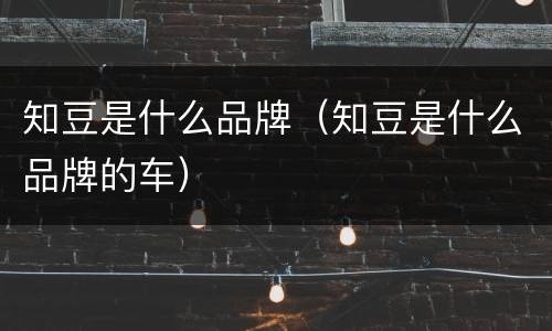 知豆是什么品牌（知豆是什么品牌的车）