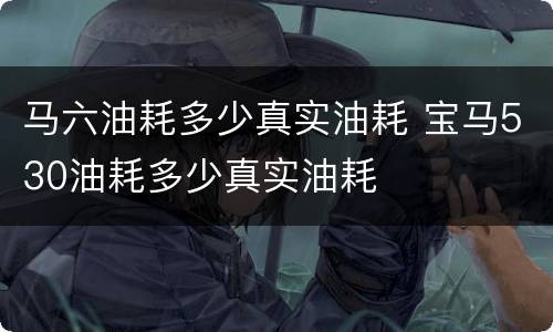 马六油耗多少真实油耗 宝马530油耗多少真实油耗