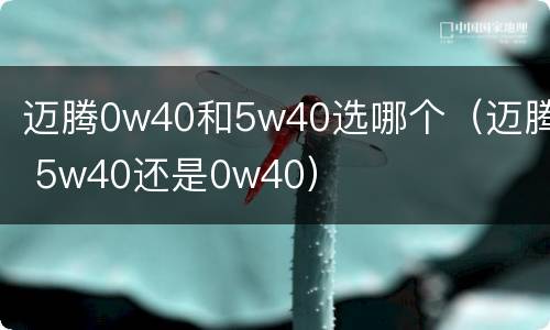 迈腾0w40和5w40选哪个（迈腾 5w40还是0w40）