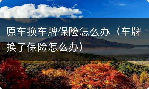 原车换车牌保险怎么办（车牌换了保险怎么办）