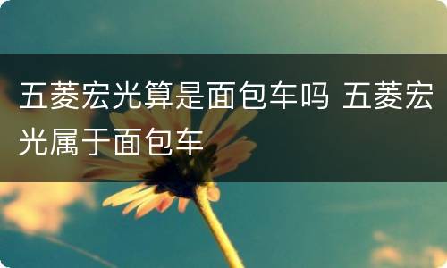五菱宏光算是面包车吗 五菱宏光属于面包车