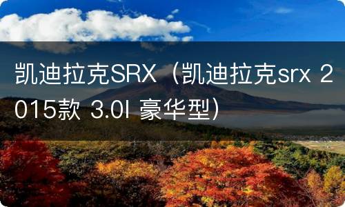 凯迪拉克SRX（凯迪拉克srx 2015款 3.0l 豪华型）