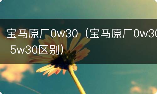 宝马原厂0w30（宝马原厂0w30 5w30区别）