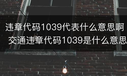 违章代码1039代表什么意思啊 交通违章代码1039是什么意思?