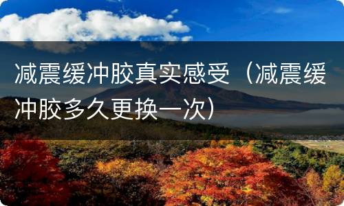 减震缓冲胶真实感受（减震缓冲胶多久更换一次）