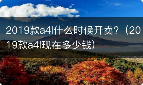 2019款a4l什么时候开卖?（2019款a4l现在多少钱）