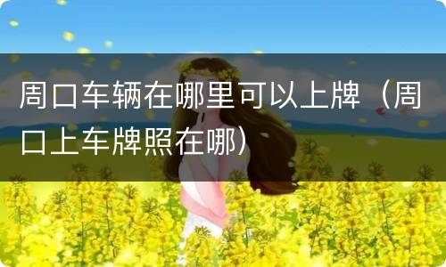 周口车辆在哪里可以上牌（周口上车牌照在哪）