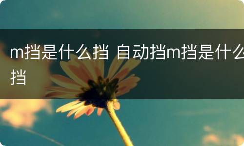 m挡是什么挡 自动挡m挡是什么挡